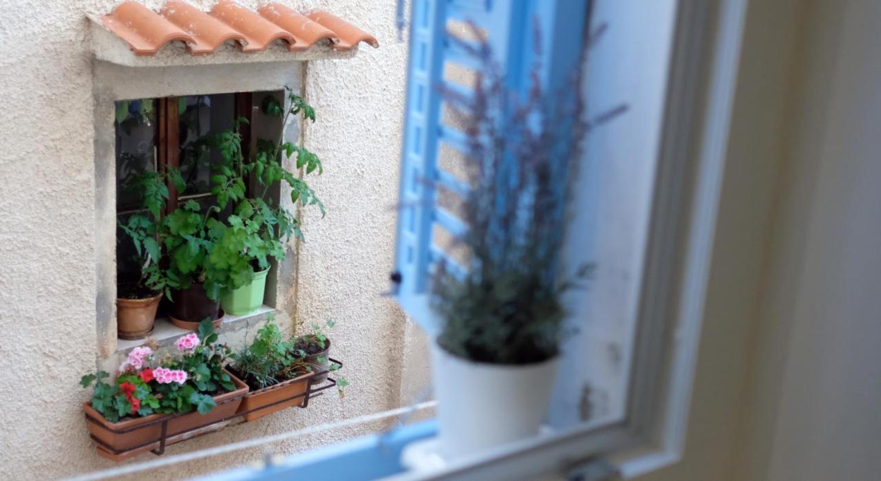 Apartament Blue Lavender *