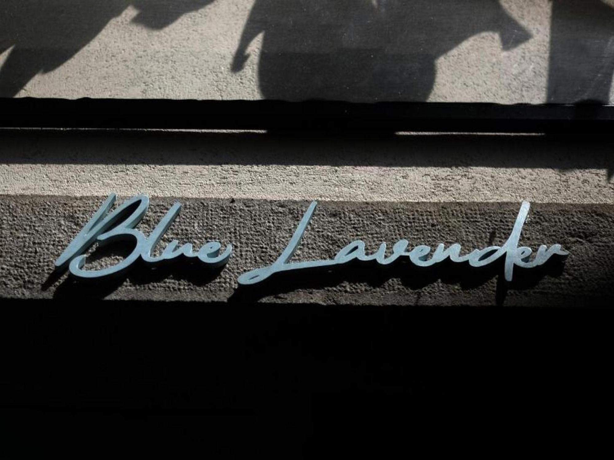 Blue Lavender *